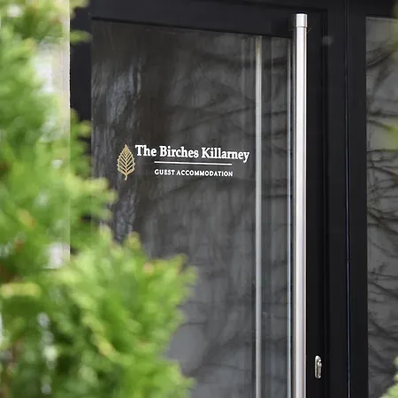 Affittacamere The Birches 4*