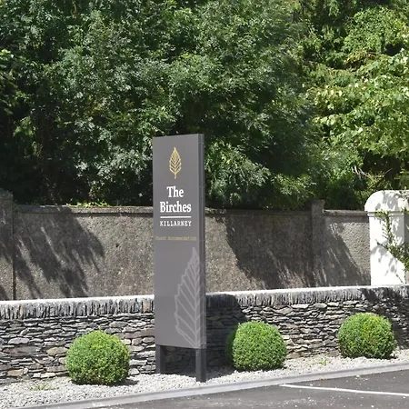 The Birches Konukevi Killarney