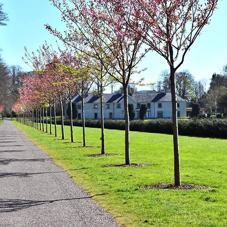 The Birches Affittacamere