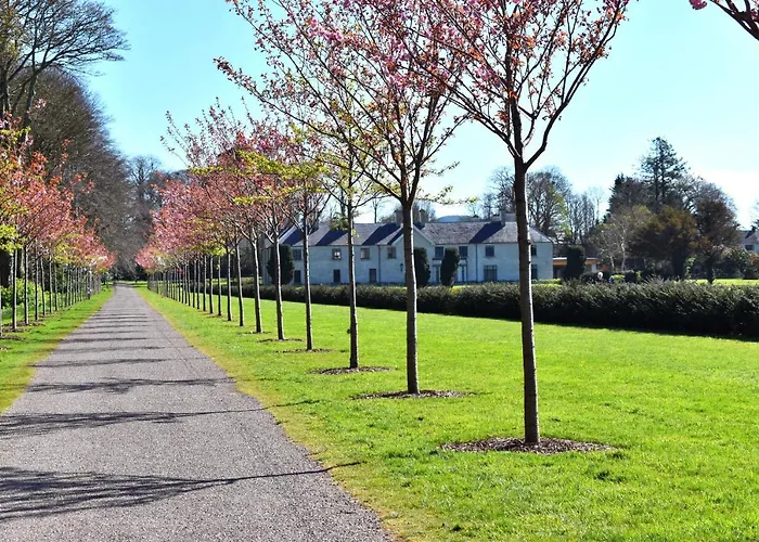 The Birches Guest house