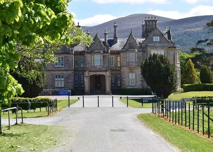 The Birches Killarney