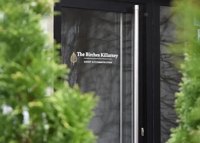 게스트하우스 The Birches 4*